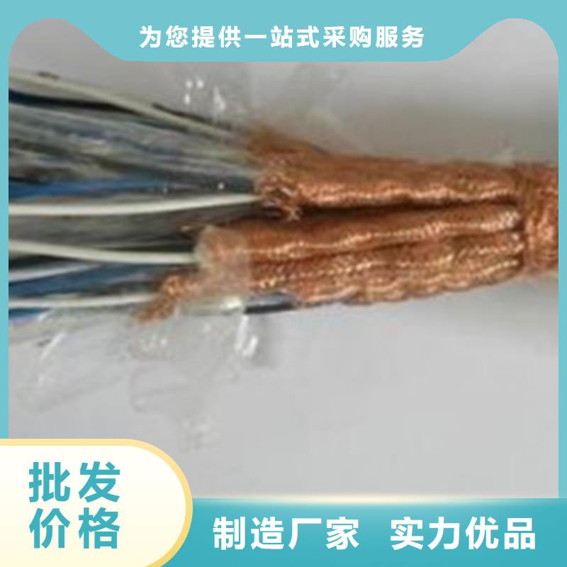 DJFP3FP计算机屏蔽电缆6X2X1.0同城经销商