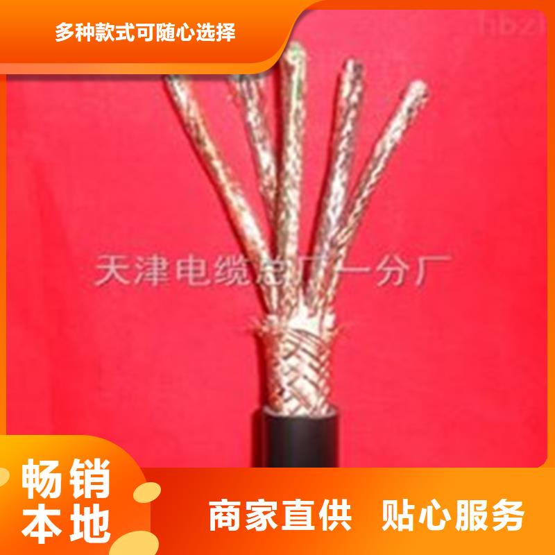 库存充足的阻燃计算机电缆ZR-DJYJVP厂家厂家新品