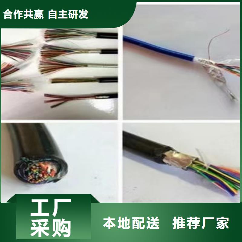 计算机屏蔽电缆DJVP1V-TR5X2X1.5当地供应商