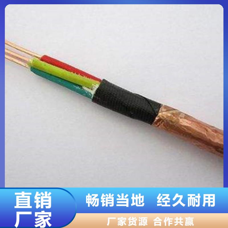 计算机屏蔽电缆DJYJP2V2R1X2X0.75来图加工定制