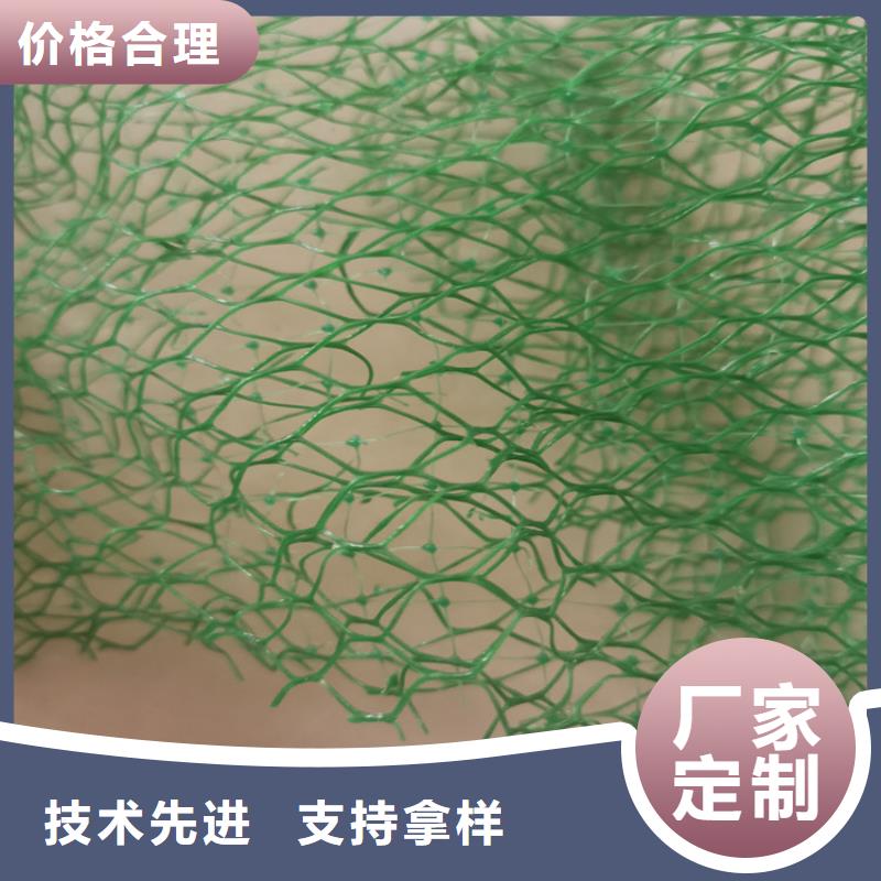 三维植被网【防水板】好产品有口碑当地货源