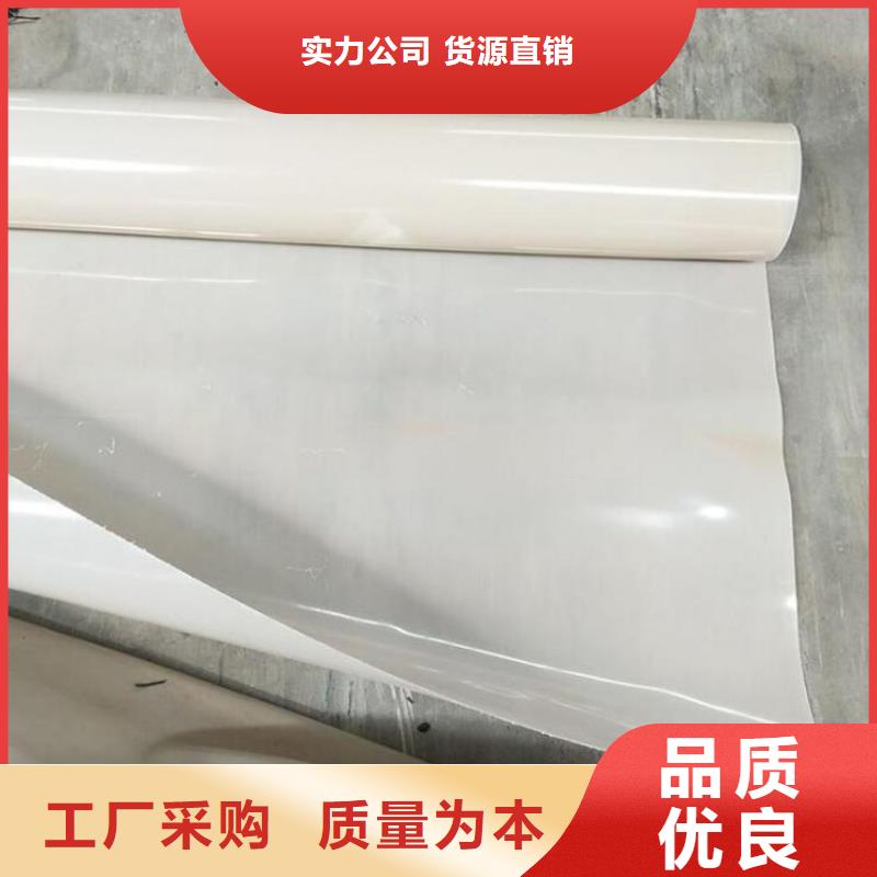 防水板防渗膜大厂生产品质N年生产经验