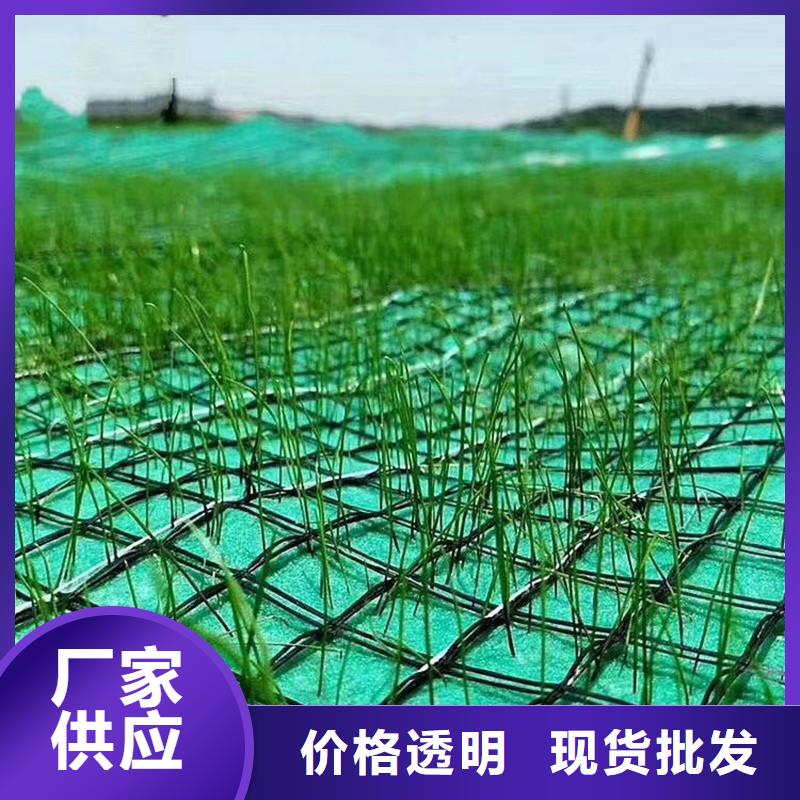 椰丝毯土工膜量大更优惠厂家实力雄厚