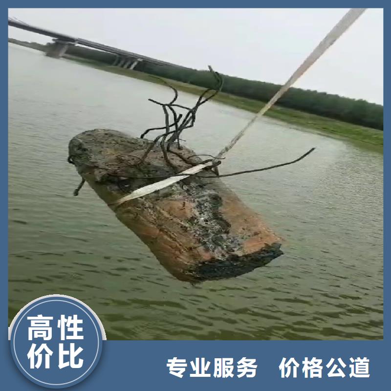 公园湖拼装浮吊出租-价格实惠-浪淘沙水工本地生产厂家