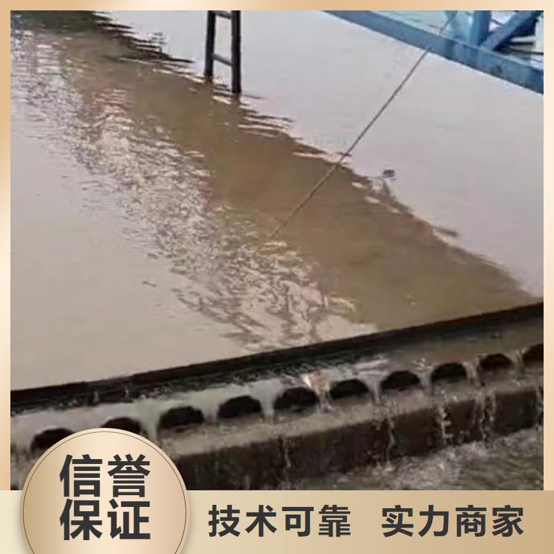 桥桩水下探摸拍照录像——十佳蛙人组浪淘沙水工效果满意为止