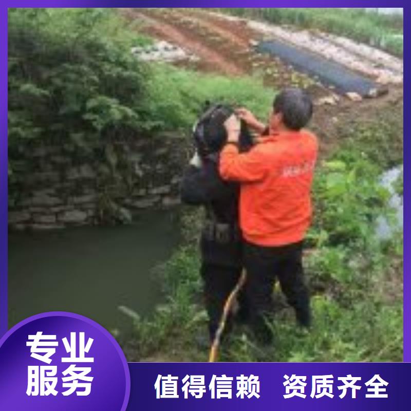 批发潜水员服务公司的经销商本地公司