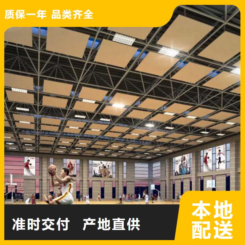 绵竹市大型体育馆声学改造公司--2024最近方案/价格同城供应商