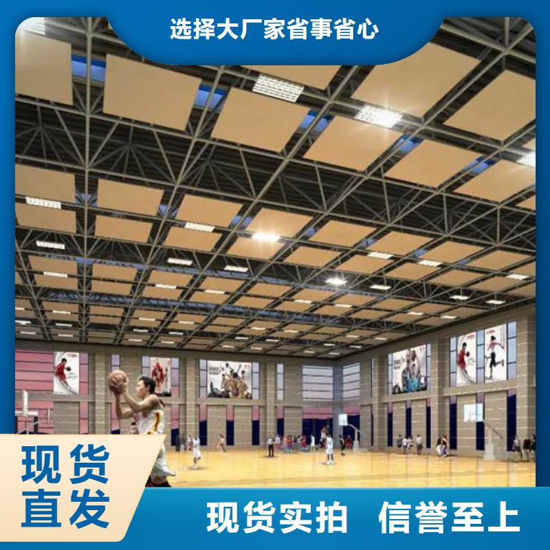 跳水馆体育馆声学改造方案--2024最近方案/价格当地厂家