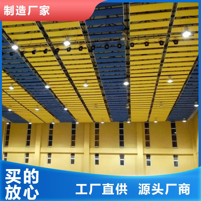 三沙市大型体育馆声学改造方案--2024最近方案/价格同城厂家