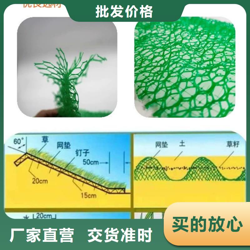 三维植被网铜片止水行业优选附近服务商