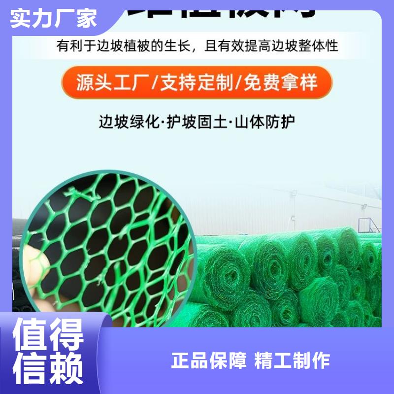 【三维植被网铜止水海量库存】厂家直发