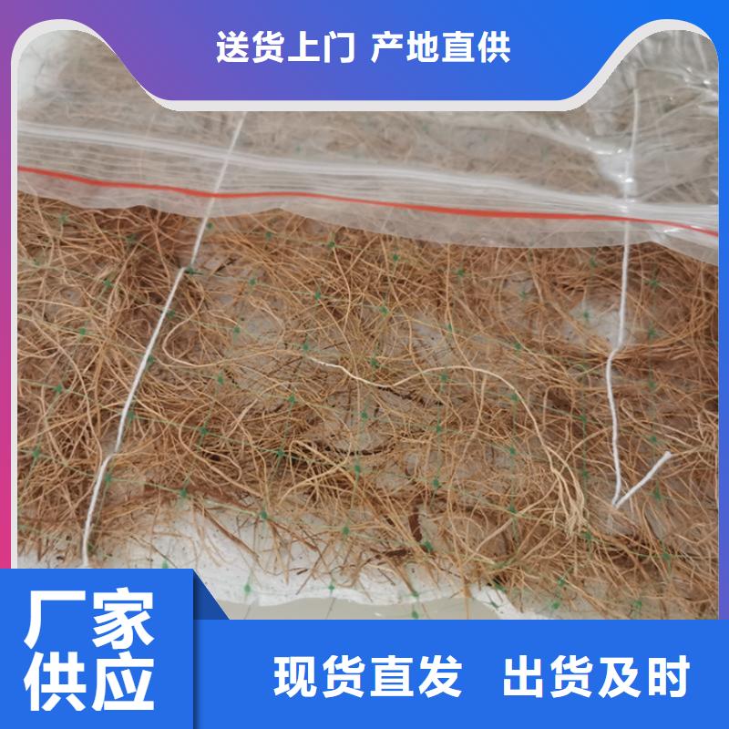 椰纤植生毯植物生态防护毯拒绝中间商