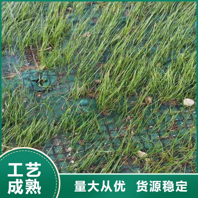 生态环保草毯护坡植被植草毯特点颜色从厂家买售后有保障