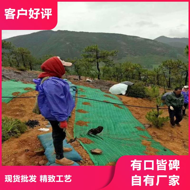 抗冲生态毯-护坡椰丝毯-护坡绿化椰丝毯同城公司