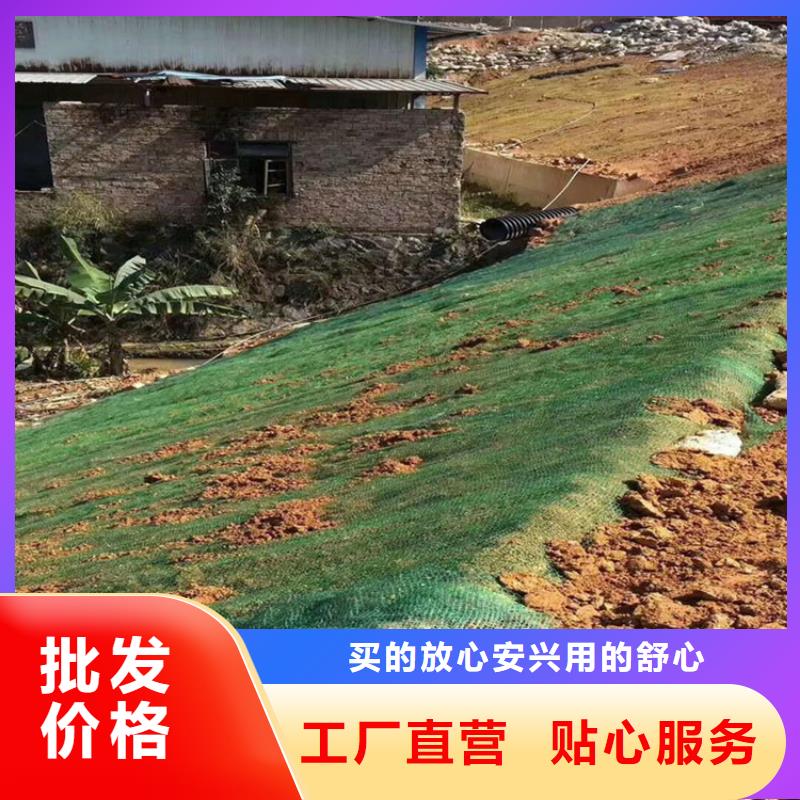 【椰丝毯土工格栅通过国家检测】把实惠留给您