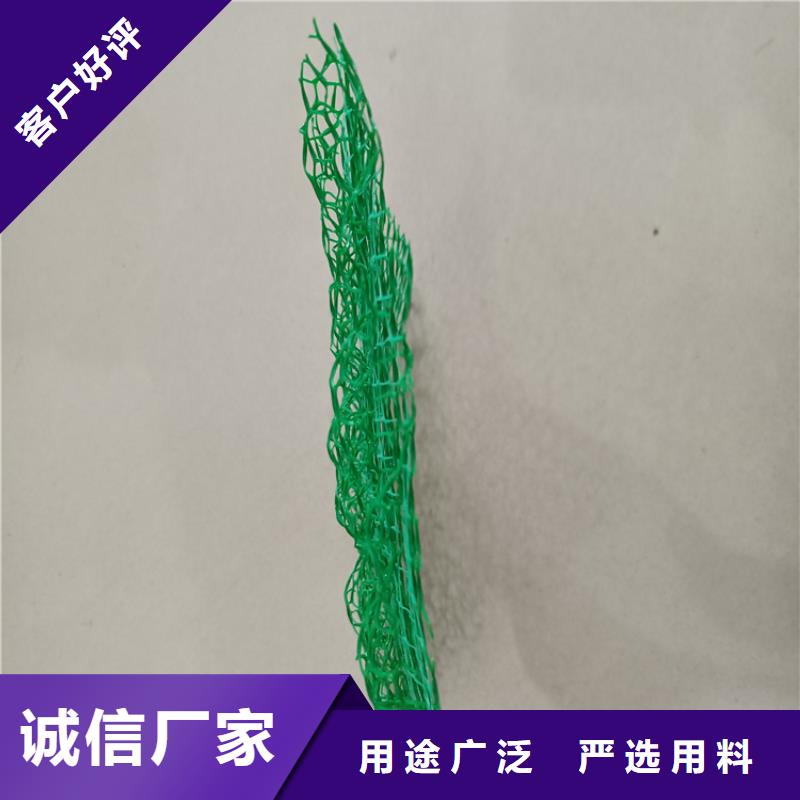 三维固土网垫三维护坡植草网垫价格透明