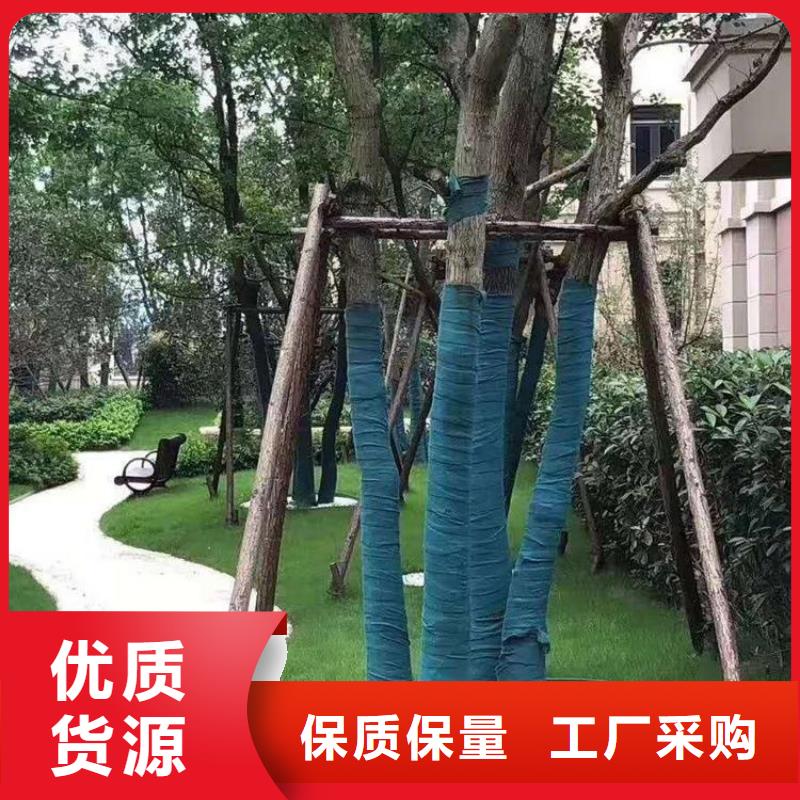 裹树布玻璃纤维土工格栅适用场景当地货源