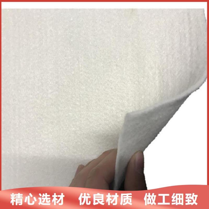 无纺针刺防水土工布附近服务商