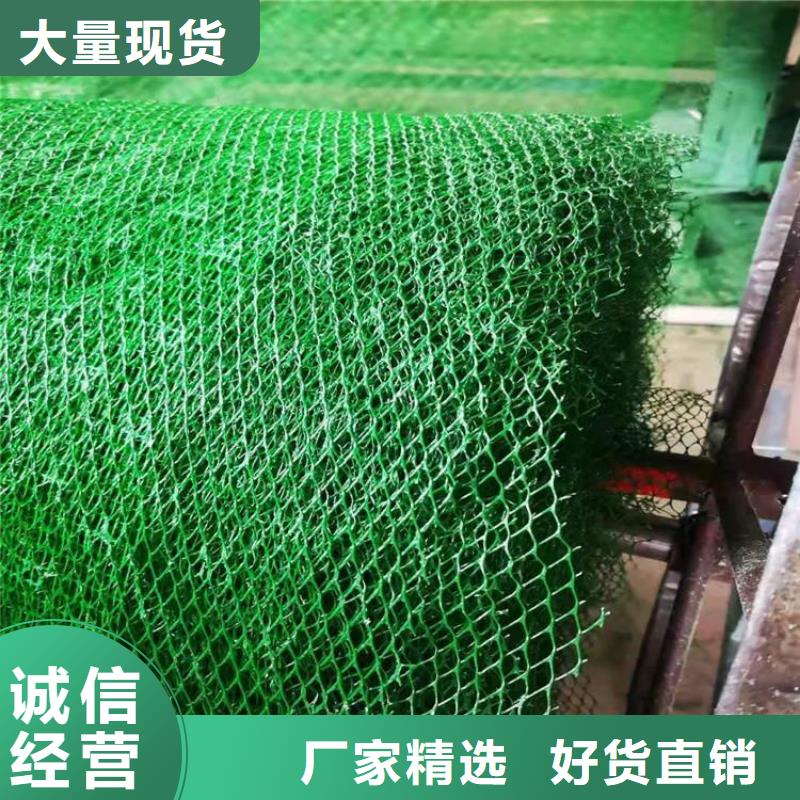 三维护坡植草网垫厂家现货用心做好每一件产品