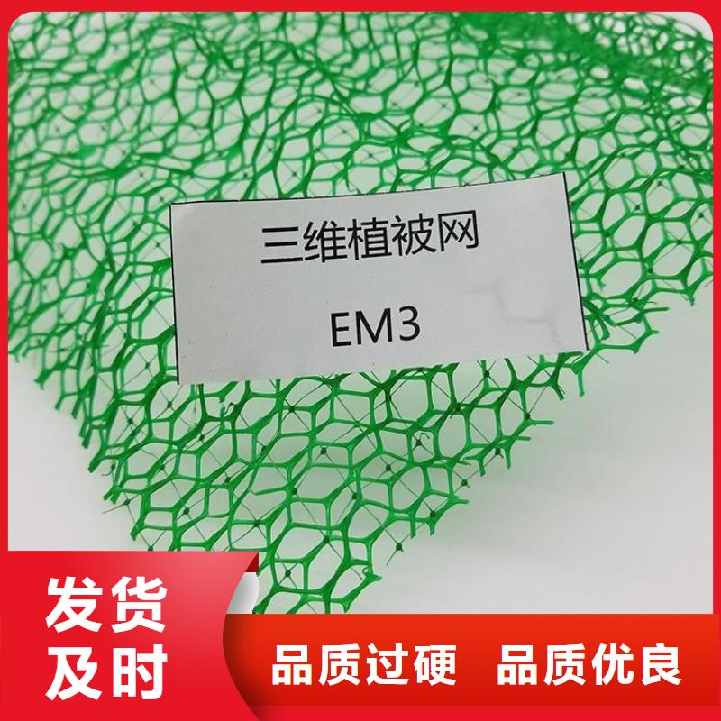 三维植被网#EM5边坡同城经销商