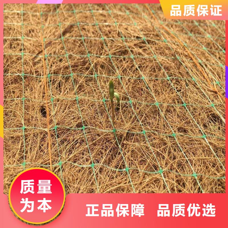 护坡植被植草毯品质保证