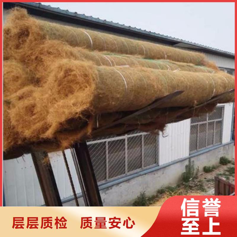 加筋抗冲生物毯经销代理/哪里有卖的好品质经得住考验