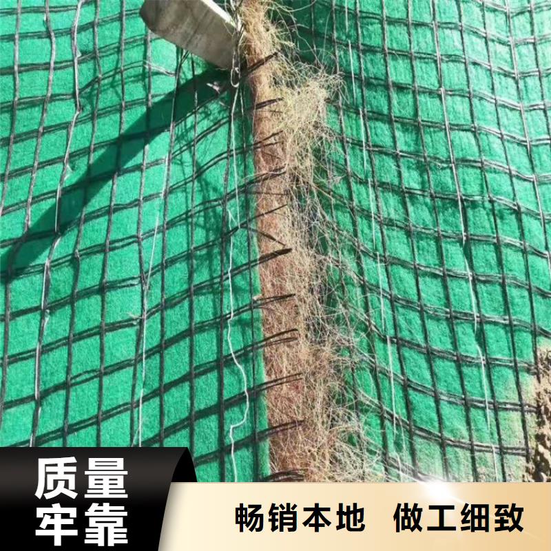 椰纤植生毯价格资讯已更新当地厂家