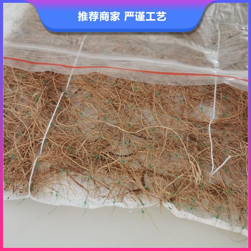 椰纤植生毯-植物生态防护毯-抗冲绿化毯按需定做