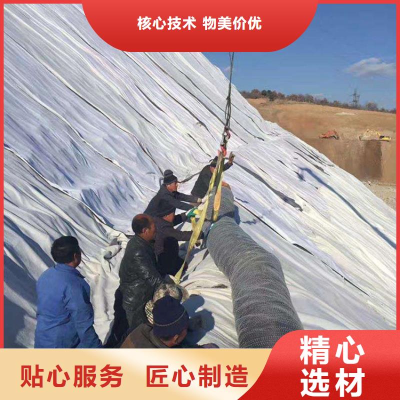 【膨润土防水毯】双向塑料土工格栅实力商家供货稳定无中间商厂家直销