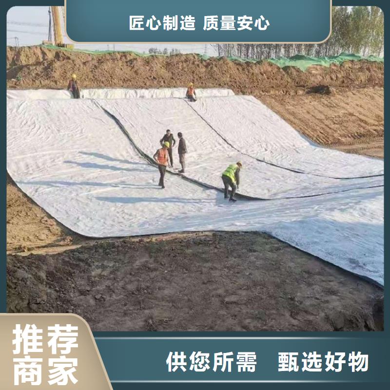 膨润土防水毯塑料土工格栅一站式采购商厂家货源