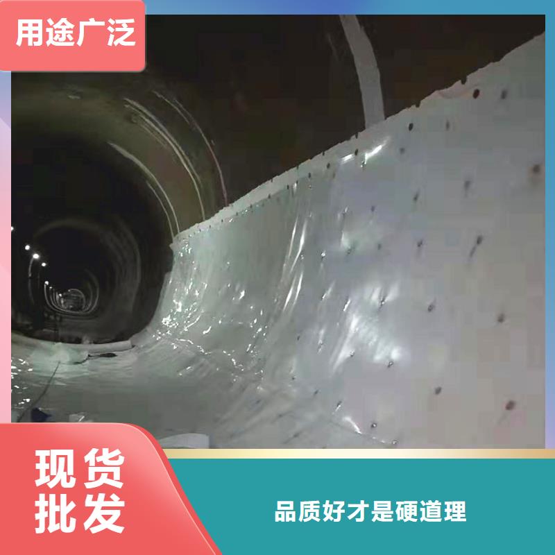 防水板玻纤土工格栅好产品价格低本地生产厂家