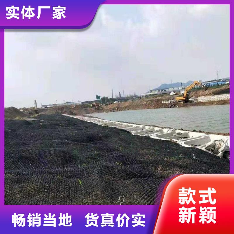 水土保护毯,硬式透水管型号全价格低当地生产厂家