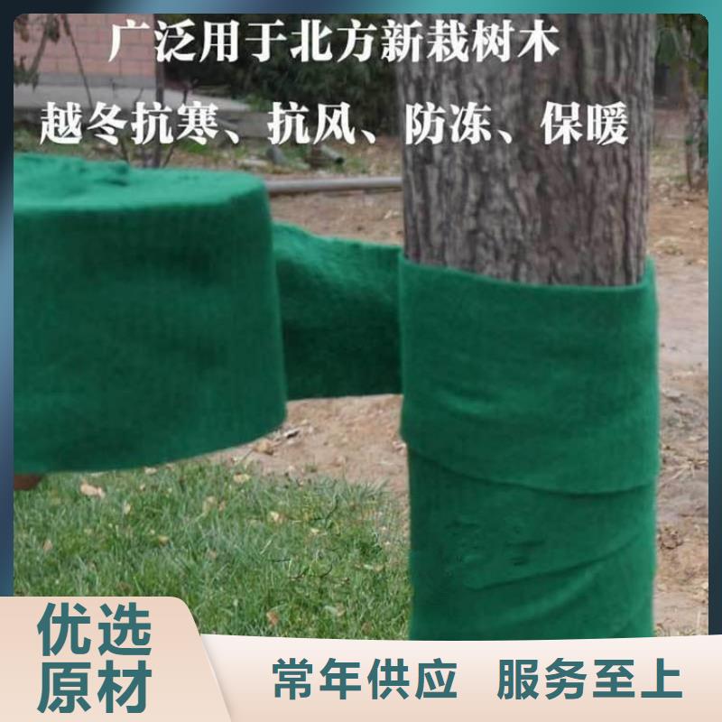 【裹树布】,双向塑料土工格栅服务周到当地货源