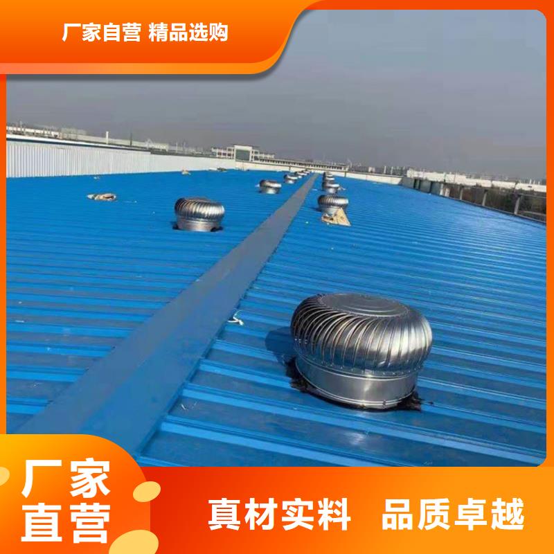 ​舟山QM-600型屋顶通风器信息推荐打造行业品质