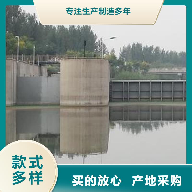 贵池区液压翻板闸门当地制造商