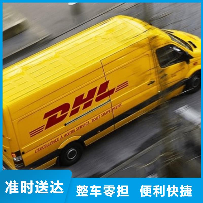 兴安【DHL快递】 国际海运拼箱宠物托运