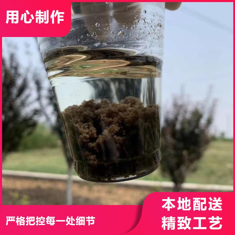 厌氧菌/好氧菌老品牌厂家