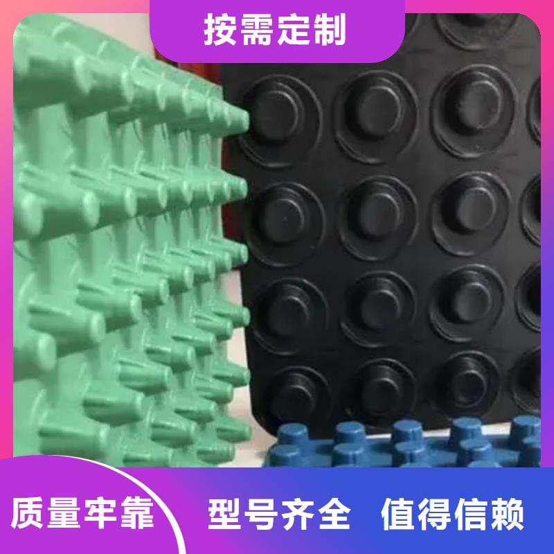 排水板价格合理质量安全可靠