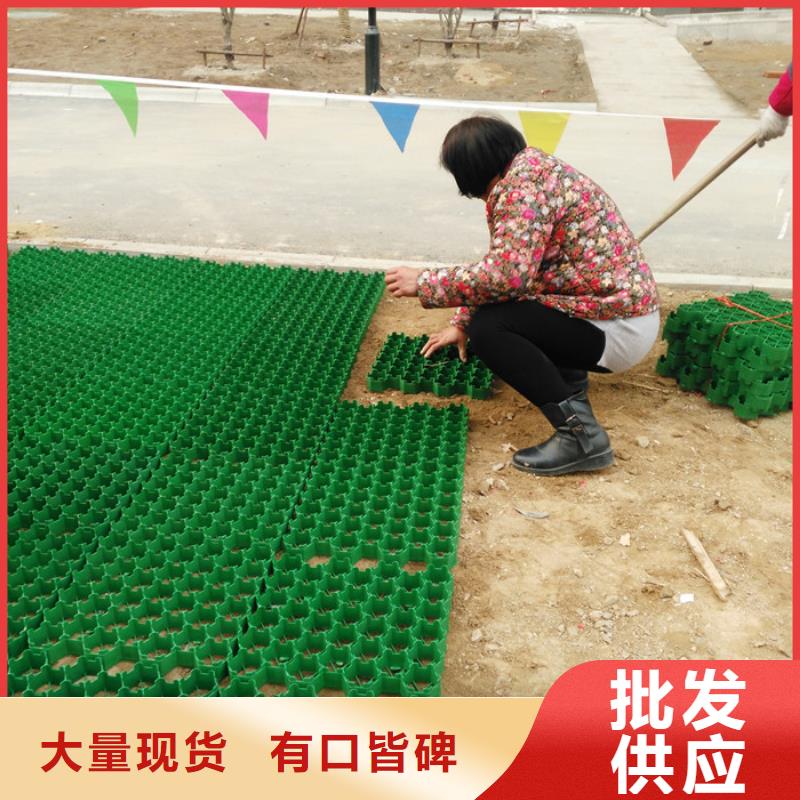 塑料植草格/本地公司用心制造