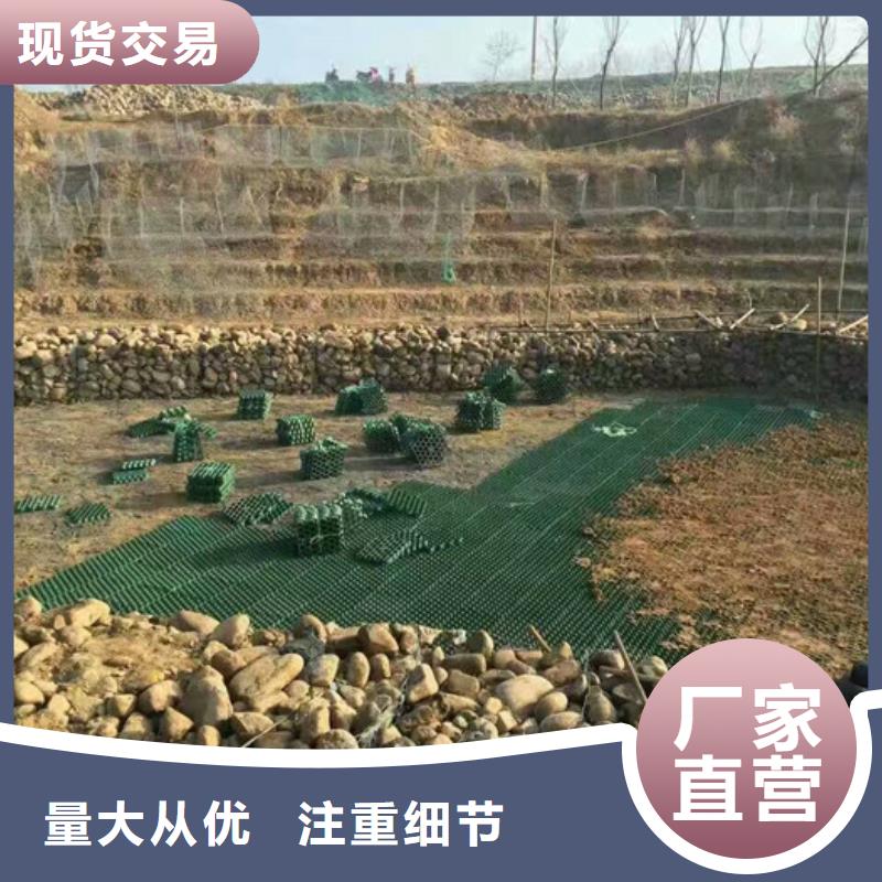 停车场植草格2024新行情价同城服务商