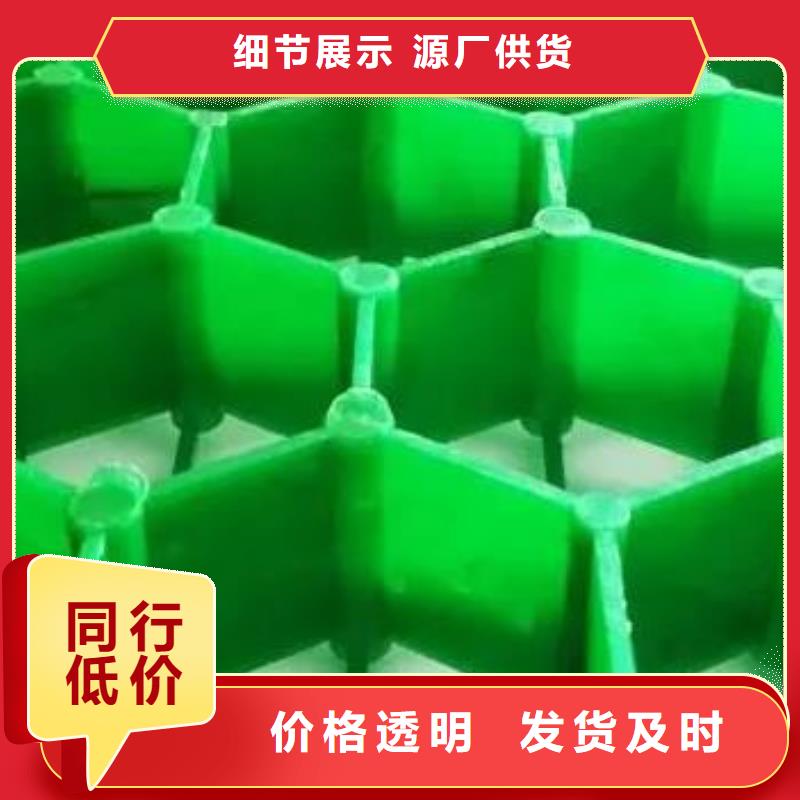 塑料植草格厂家-批发零售价同城品牌