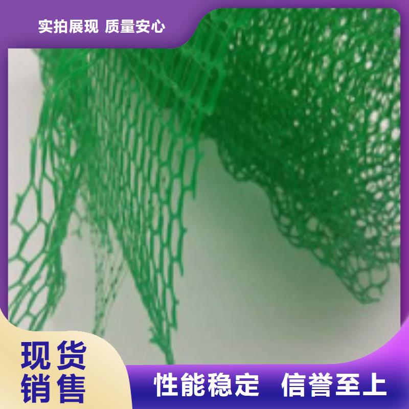 【三维植被网,植草格实力优品】厂家货源稳定