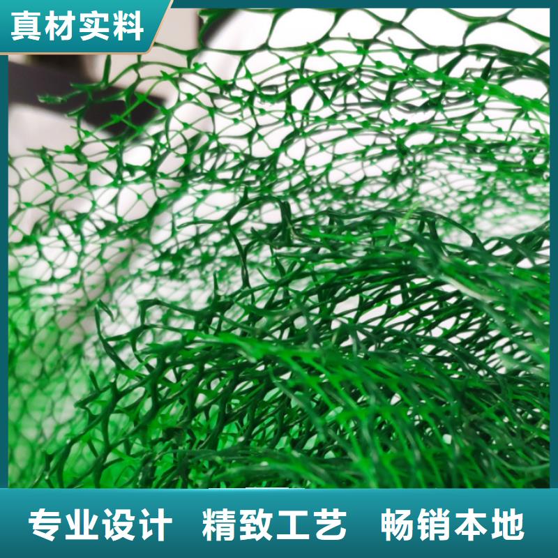 【三维植被网排水板丰富的行业经验】精选优质材料