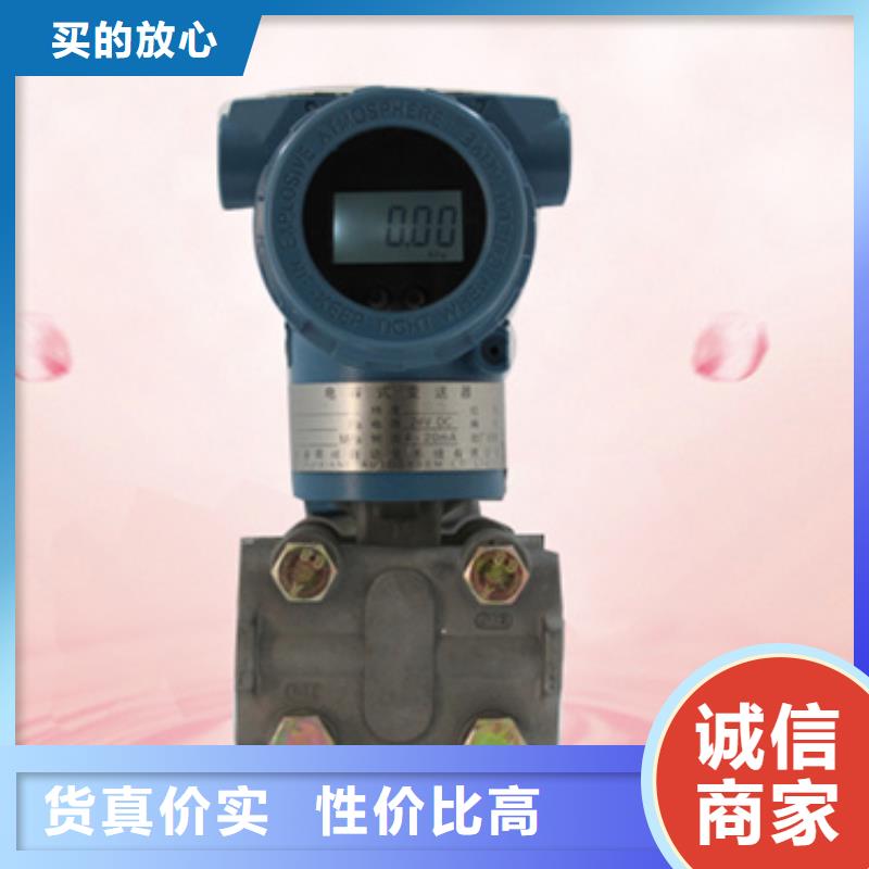 DGW-113□型热电偶输入温度变送器-可送货上门支持非标定制