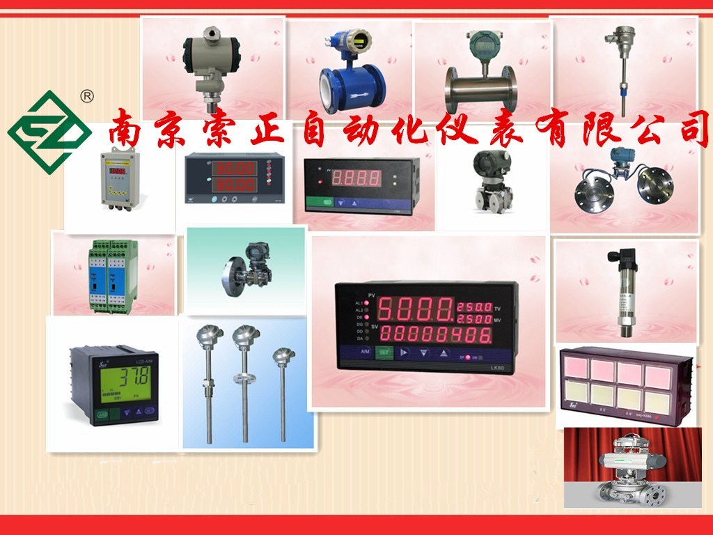 #XSD/A-H2IIT1A1B1多通道数字显示仪#可定制当地供应商