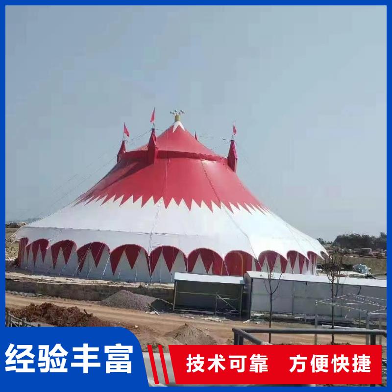 活体企鹅出租暖场方案一站搞定