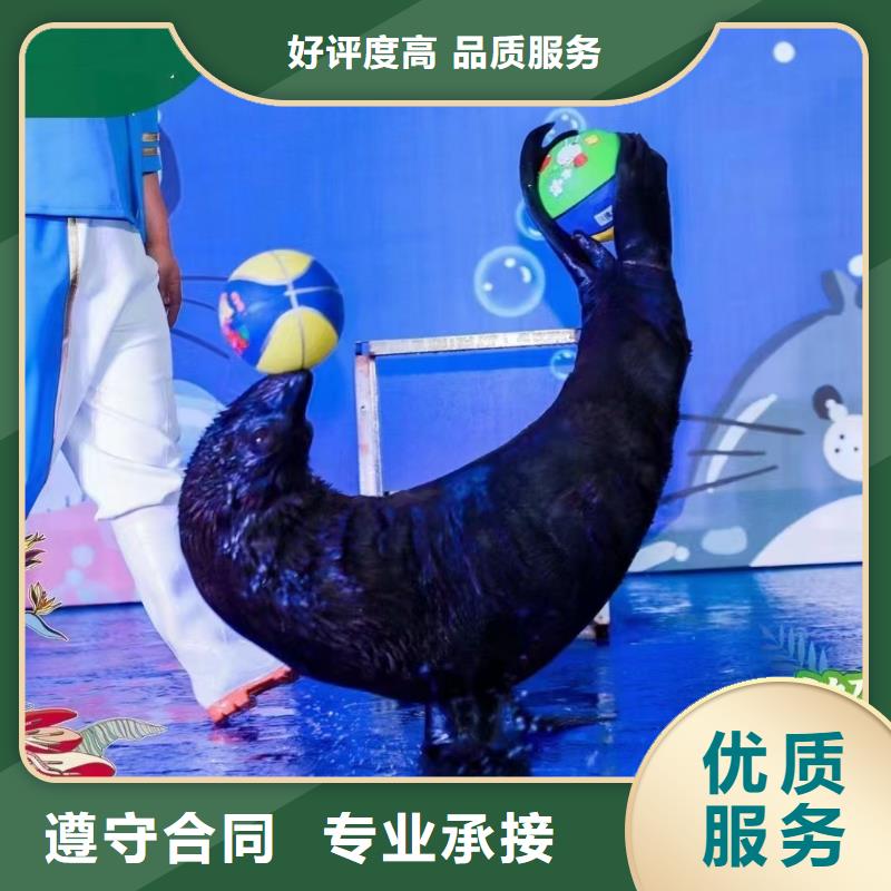 海洋生物展出租丰富多彩高效快捷