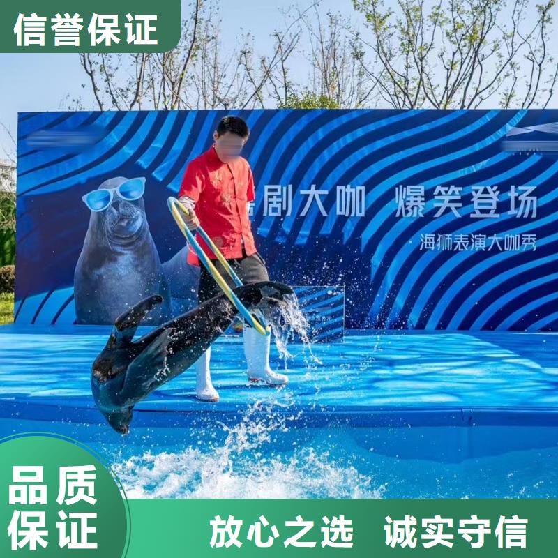 哪有出租企鹅的规格介绍本地生产商