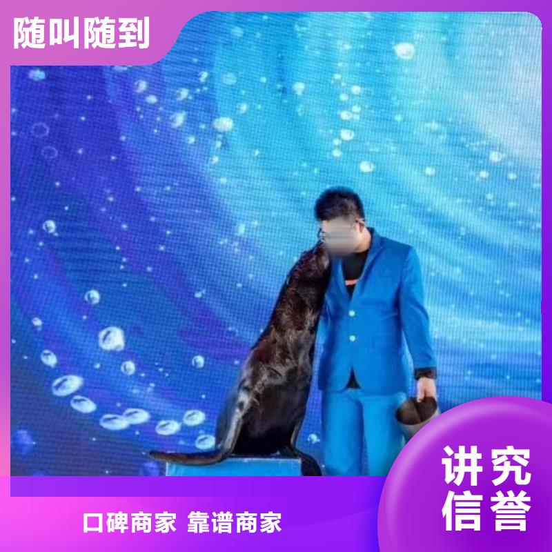 海洋主题动物表演-水族海洋展质量保证免费咨询