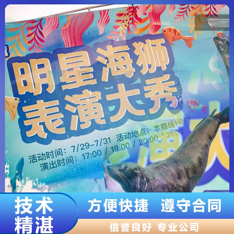 海洋生物展出租公司